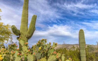 Summer heat tips for outdoor workers