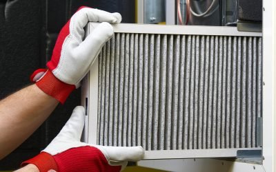 Indoor Air Quality Purification Helps Tucson Allergies