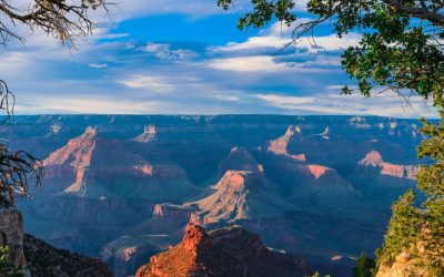 Beat the Heat: Essential AC Repair Services for Tucson Homeowners