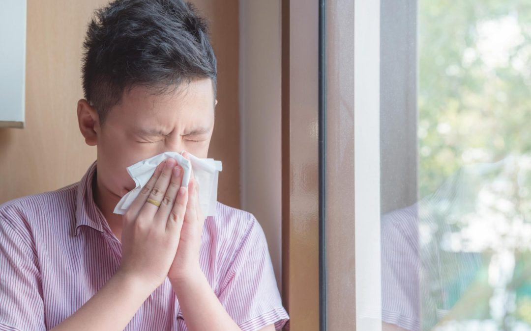 How Air Conditioners Reduce Indoor Allergies