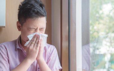 How Air Conditioners Reduce Indoor Allergies